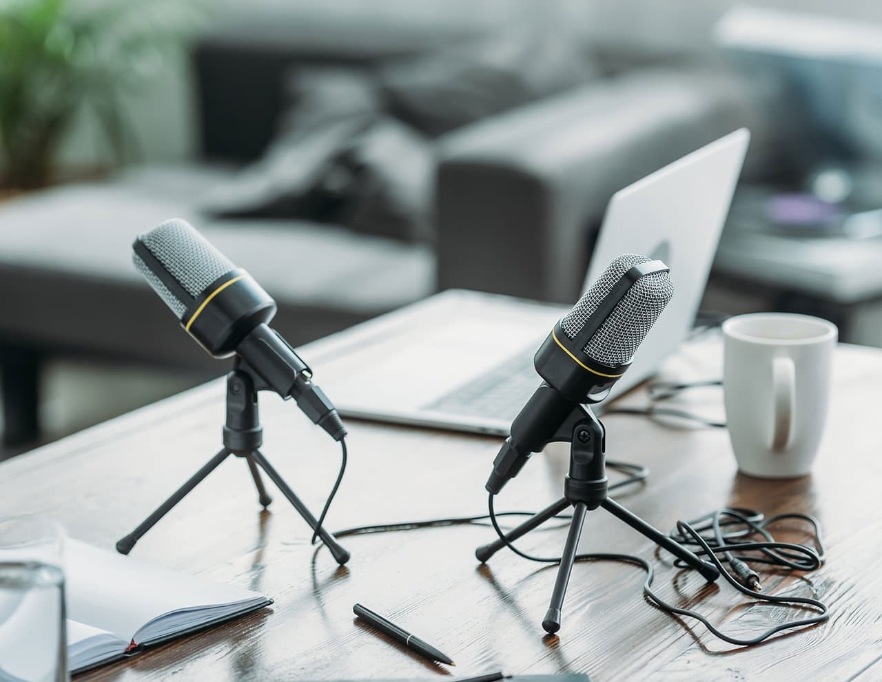 Podcast Coming Soon!